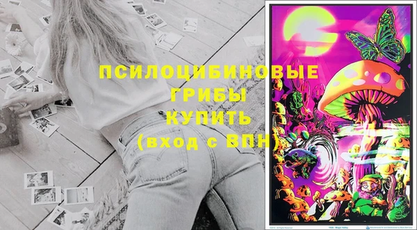 СК Алексин
