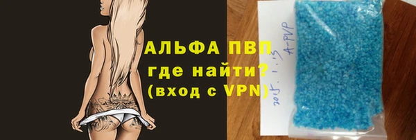 СК Алексин