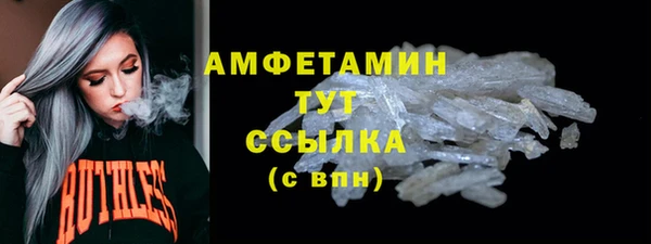 СК Алексин