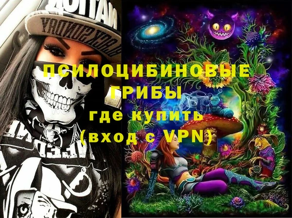 дмт Алексеевка