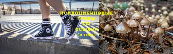 дмт Алексеевка