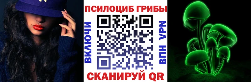 Галлюциногенные грибы мицелий  Гурьевск 